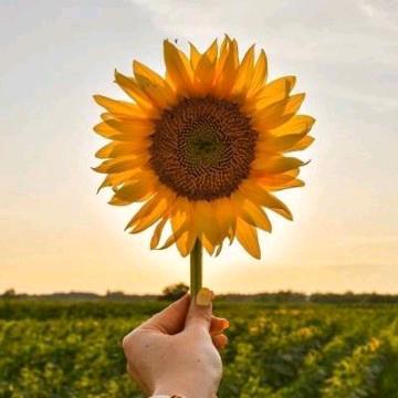 宝德居家具秋水伊人