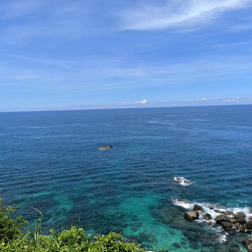 正在暴富中（急性发钱寒）