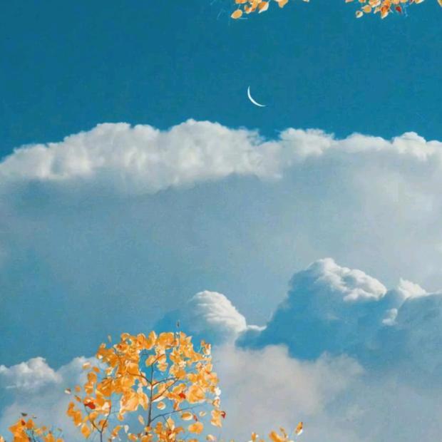 俞航不定时开播