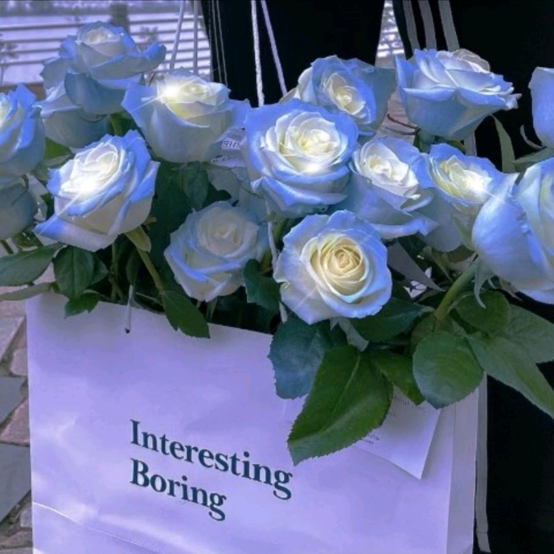 羲艺花语花鲜花