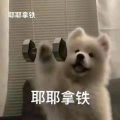 多啊是无背少年啊