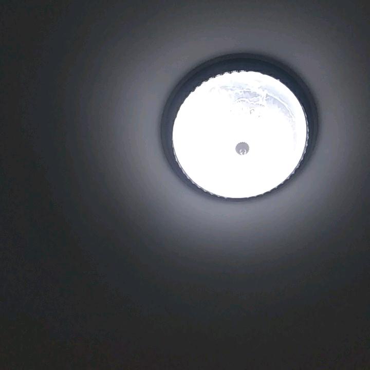 骑着水牛去旅行。