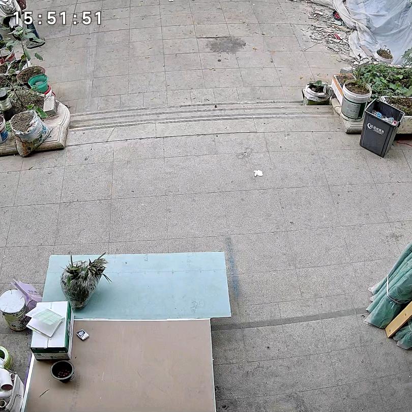 惊鸿天地
