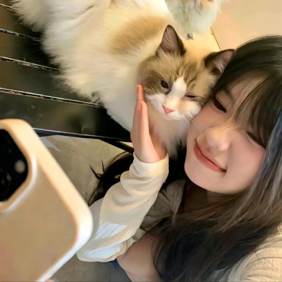 椰椰小卷饼