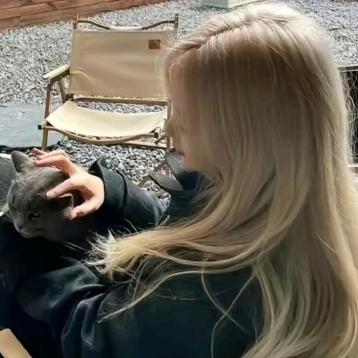 我 爱 吃 草 苺 蛋 糕