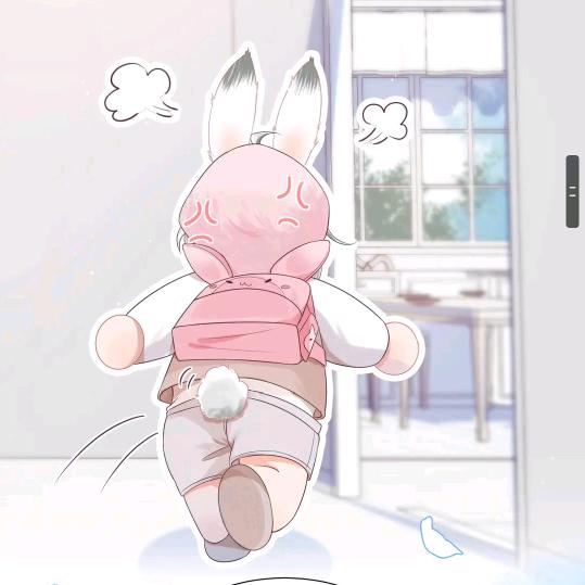 懒猫