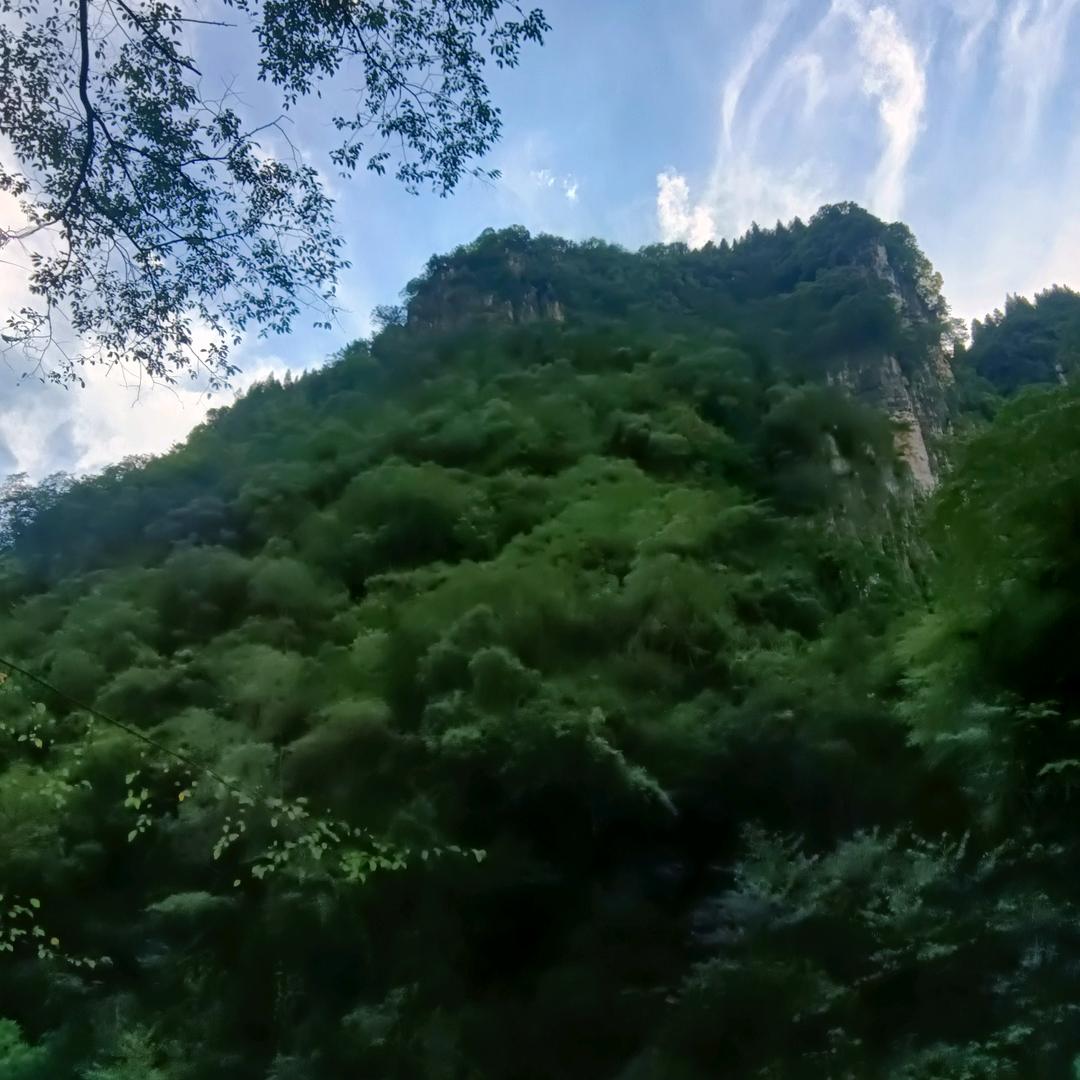 康锅