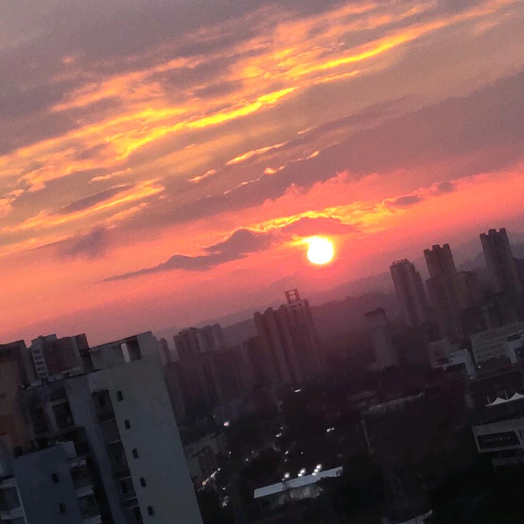 阿狸.