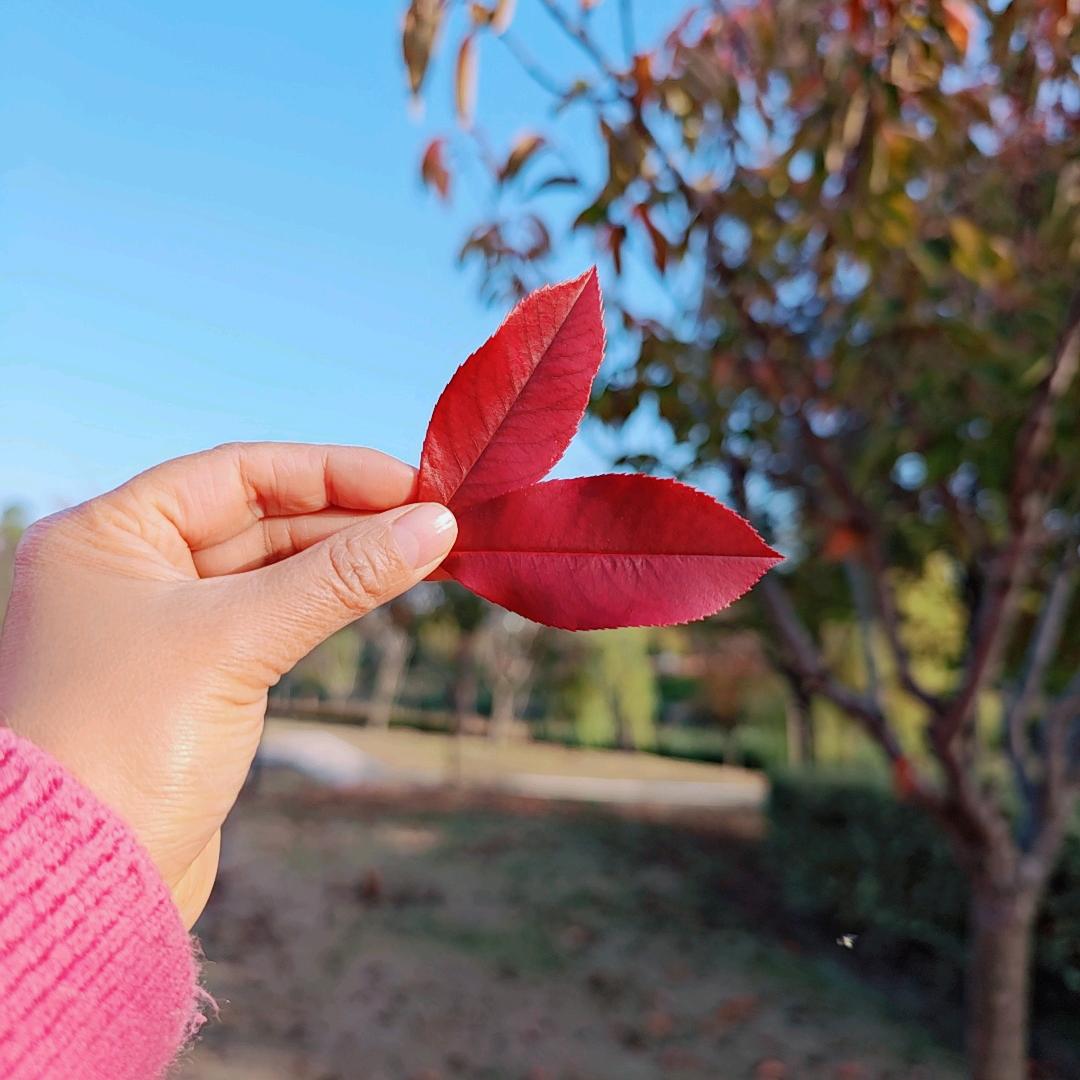 এ᭄ꦿ꯭ꫛ张꧔ꦿএ᭄💕