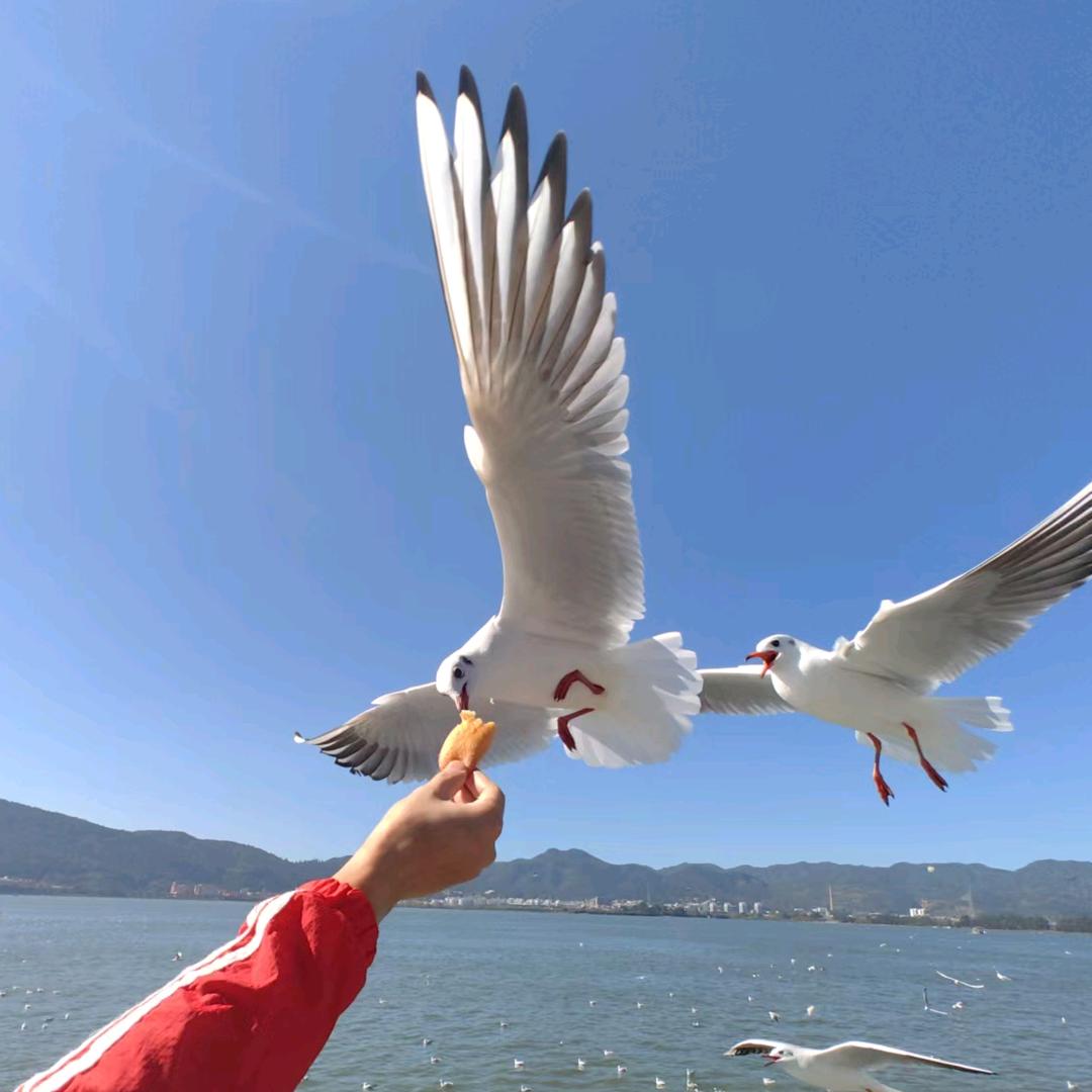 质为