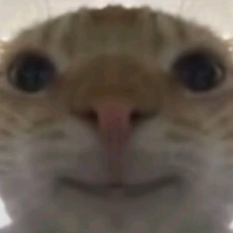跑刀鼠鼠
