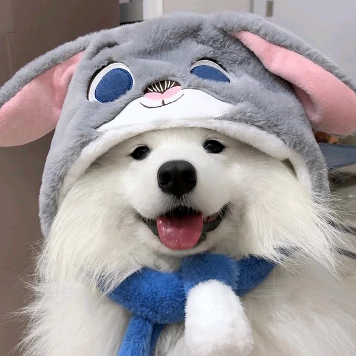 瑾川^