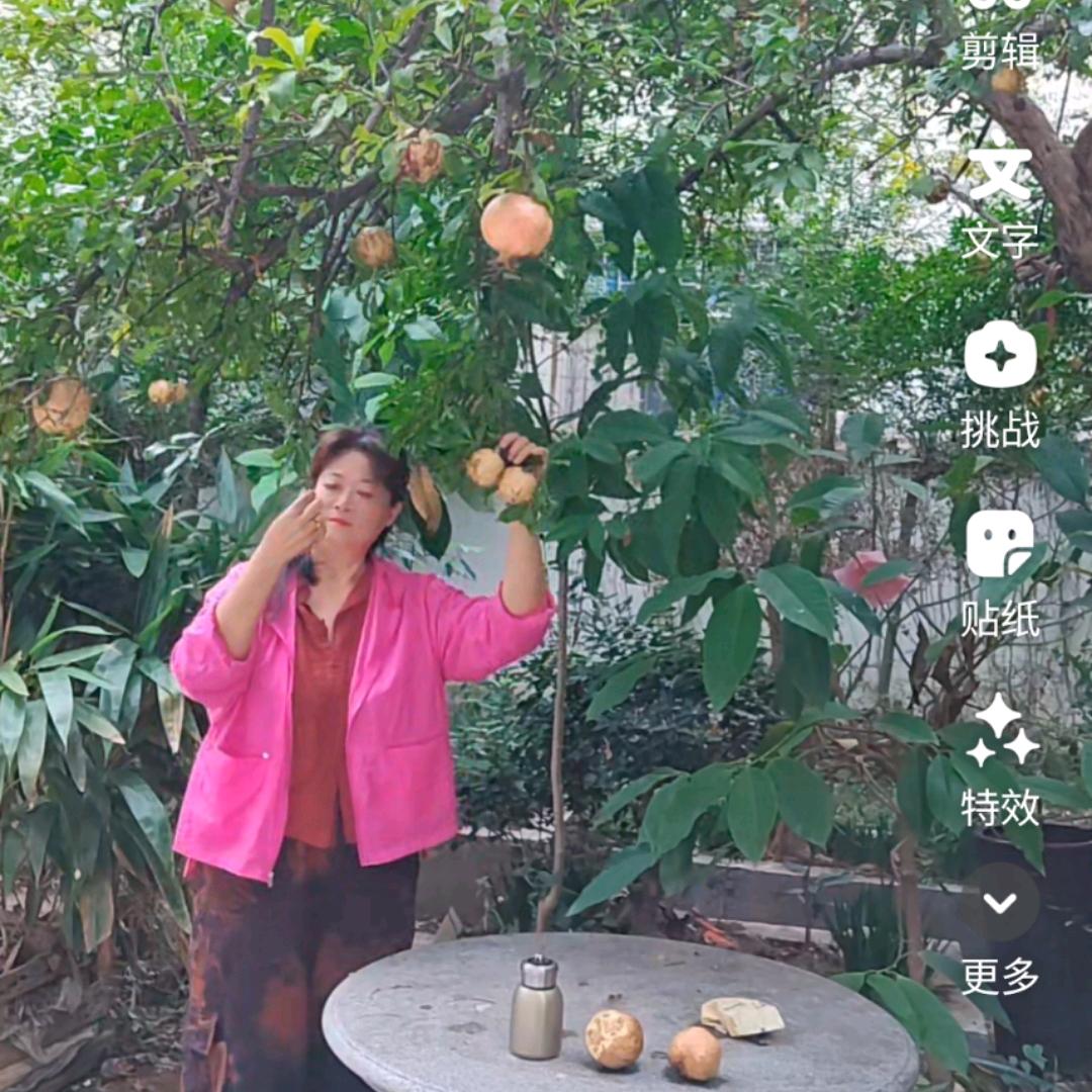 阿莲