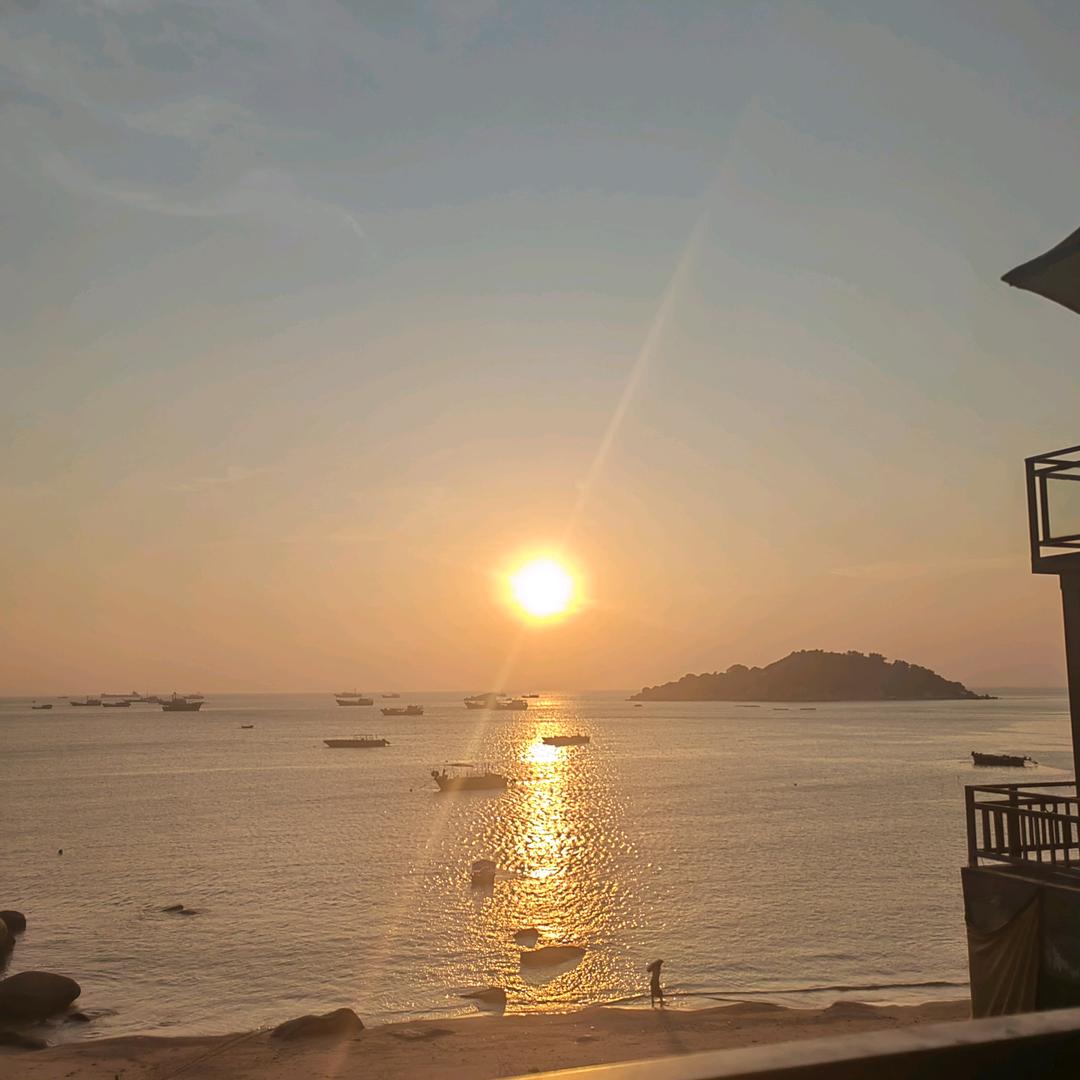林华