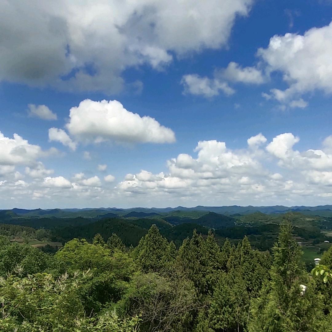 汤圆甜甜