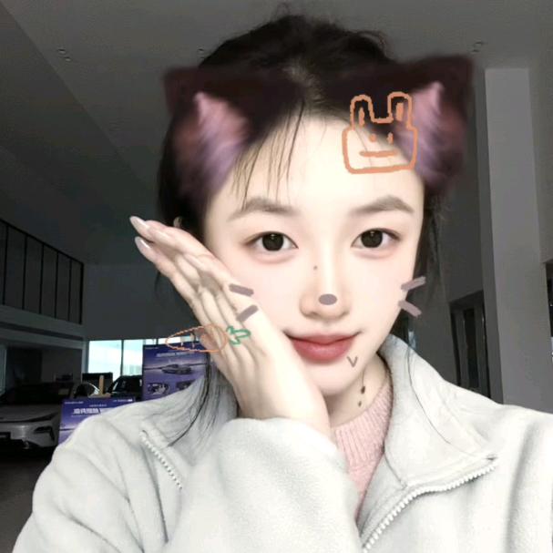 吉利银河星愿-素素