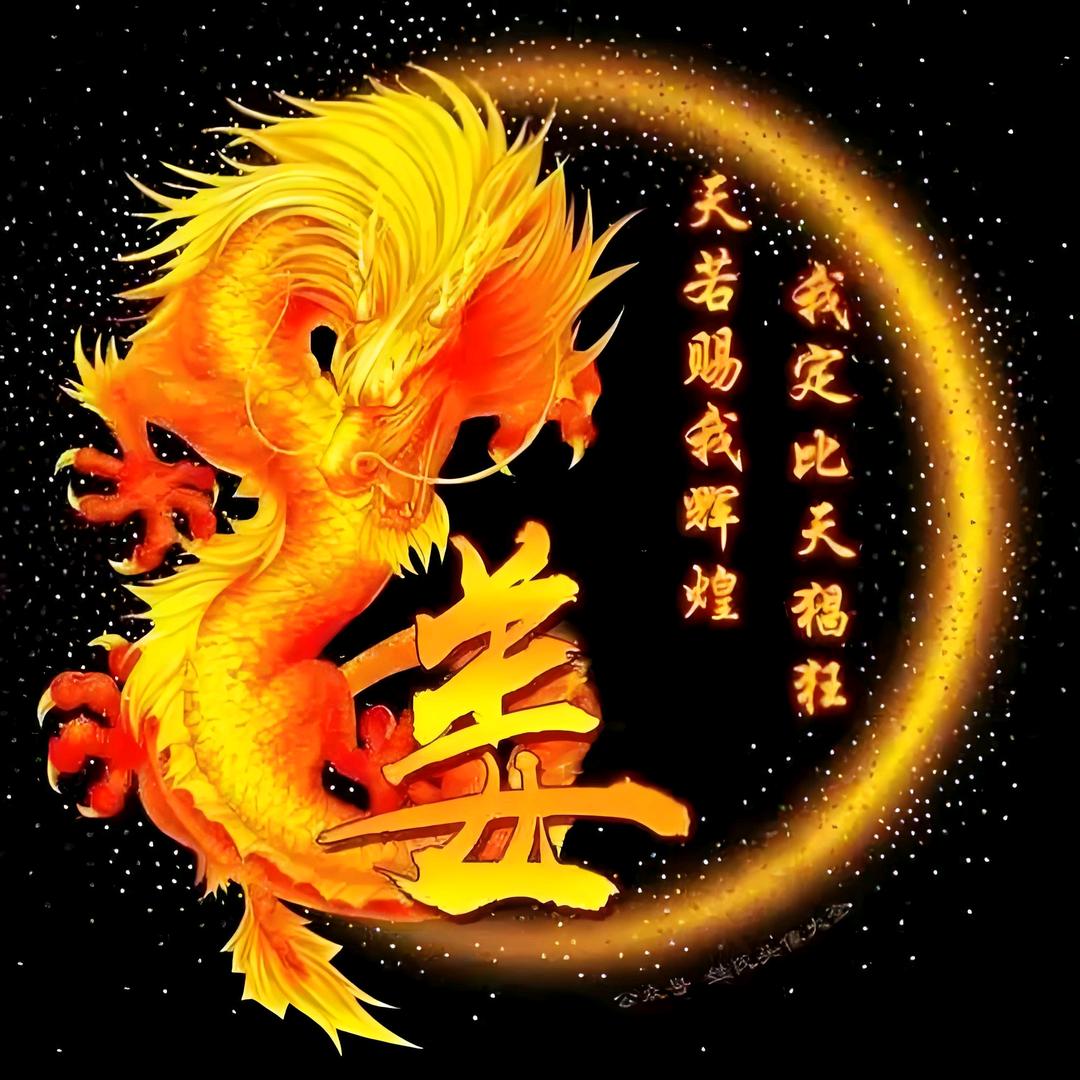 天龙《封票中》