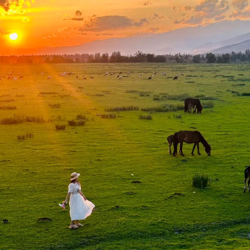 柚子毛毛的幸福生活