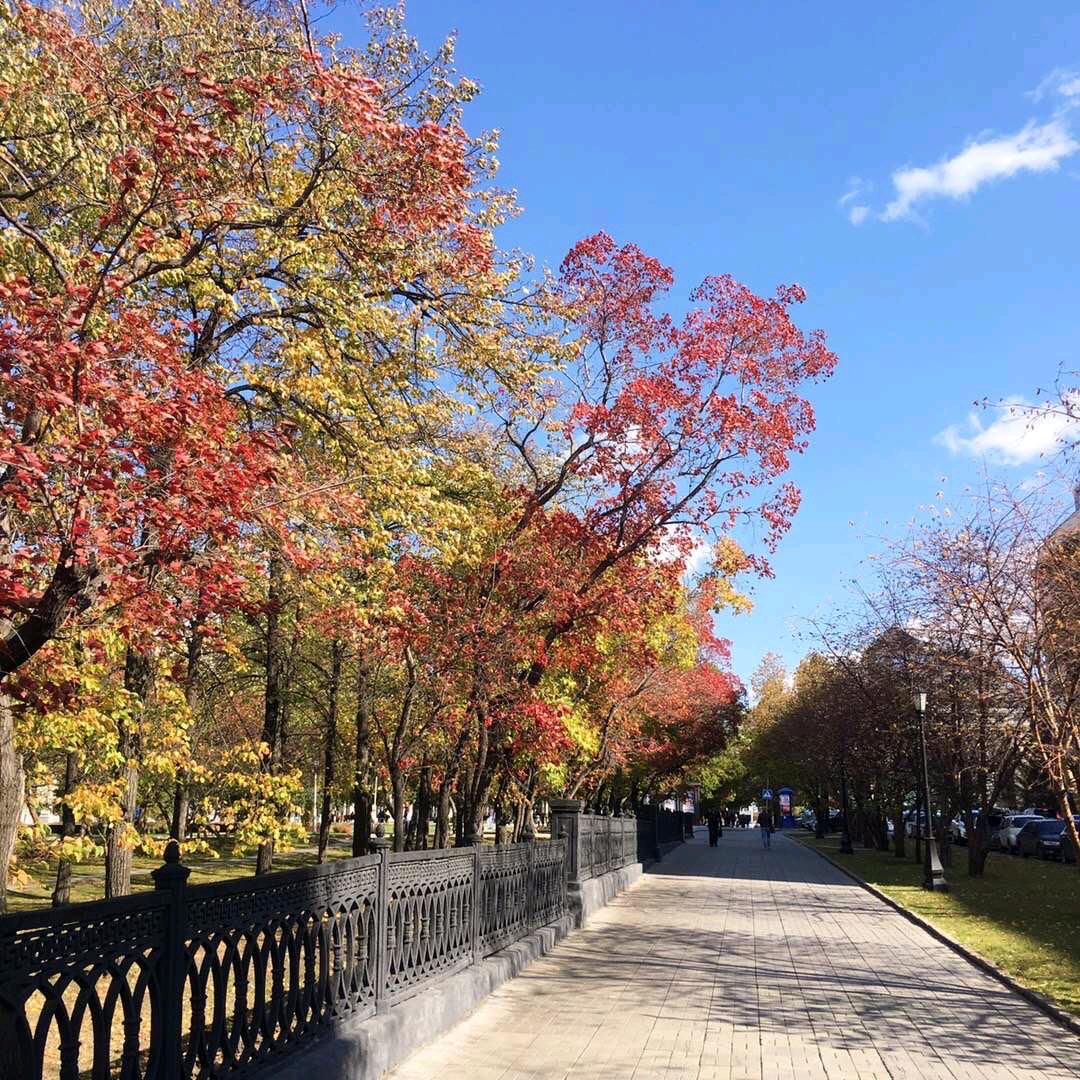 小李在路上