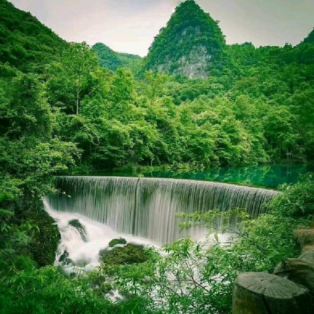 TIFICY禾田共雨茶烟酒专用号