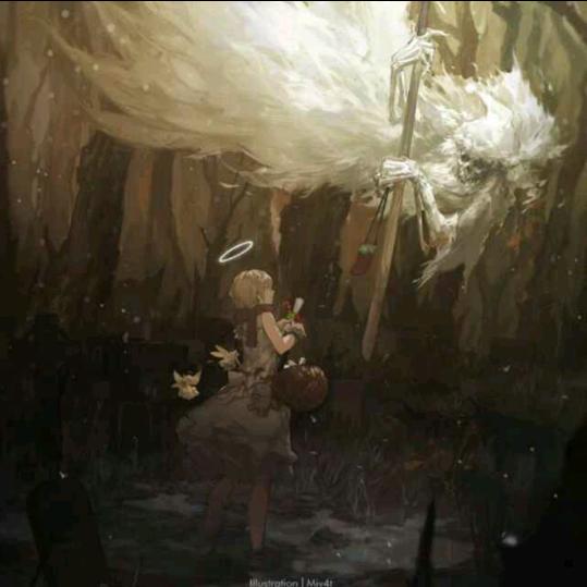 杨  ·