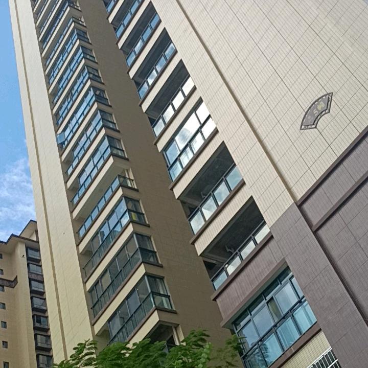 红与黑
