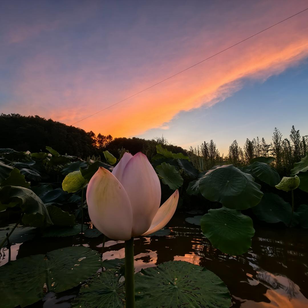 金芙美亲子健康农场