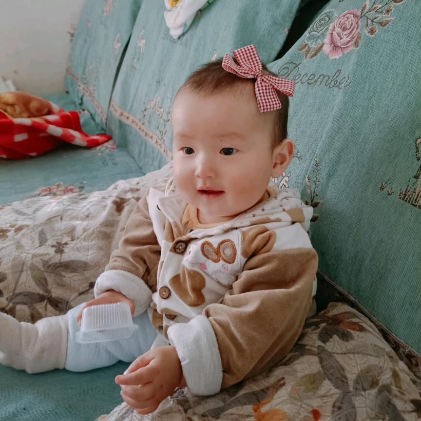 紫玉馨兰