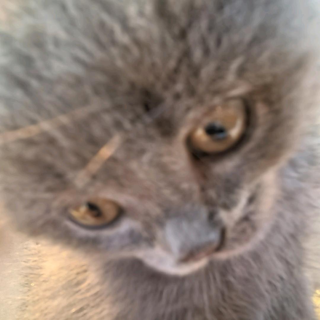 💹