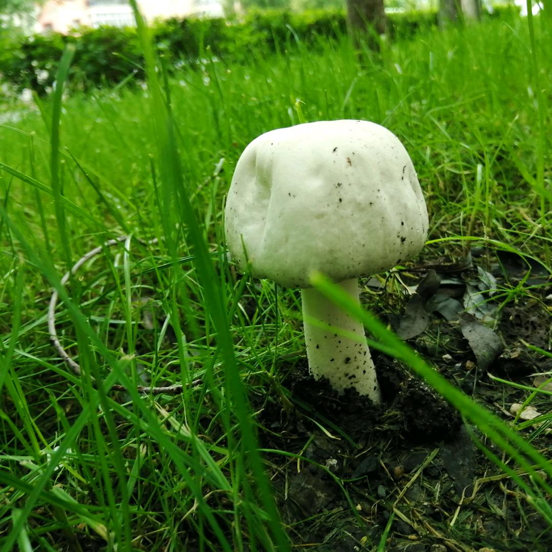 陆拾