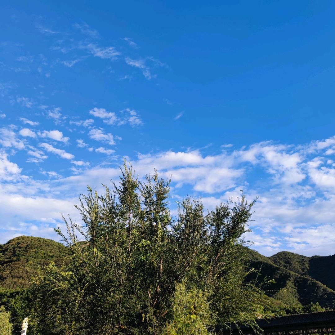 吴东伴夏