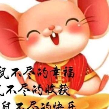 好听的音乐(猪猪)