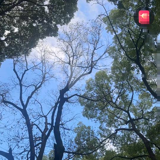 念😘