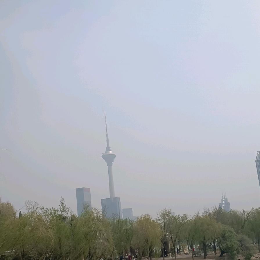 我嘞个豆