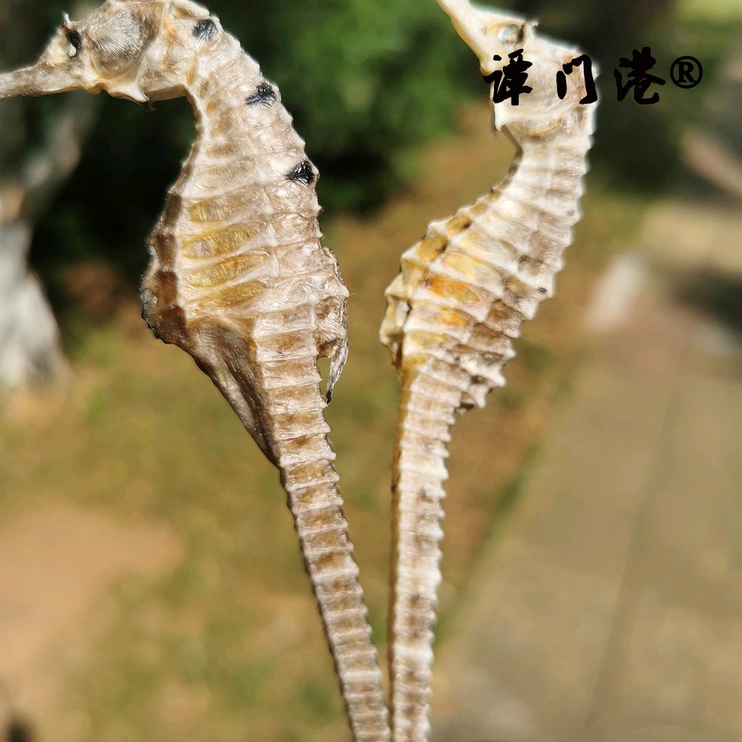 潭门海产干货