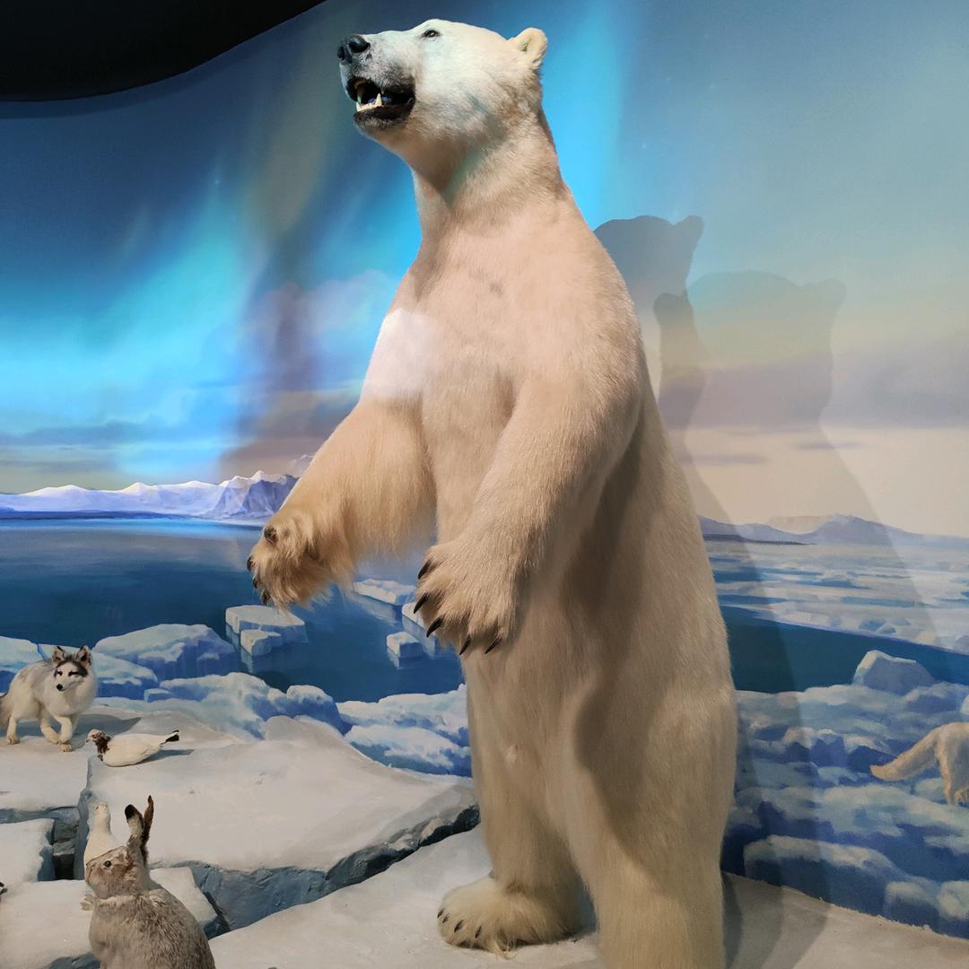 ღ归去来兮ꦿ࿐