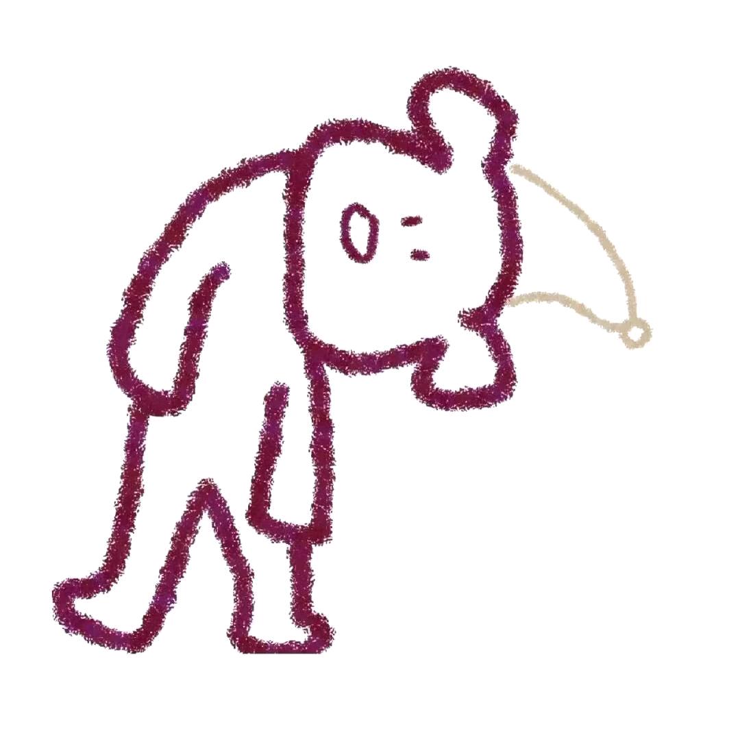 肖璇