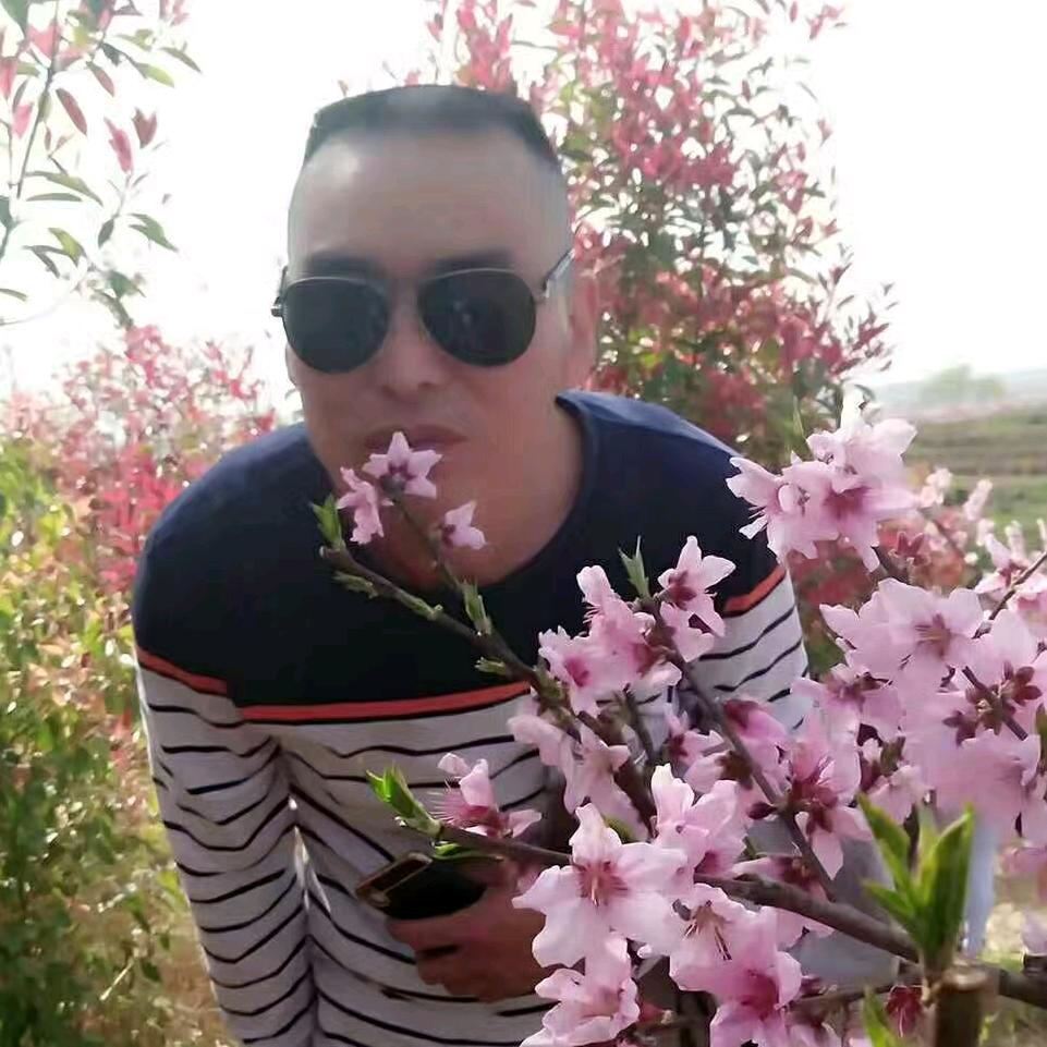真城对待
