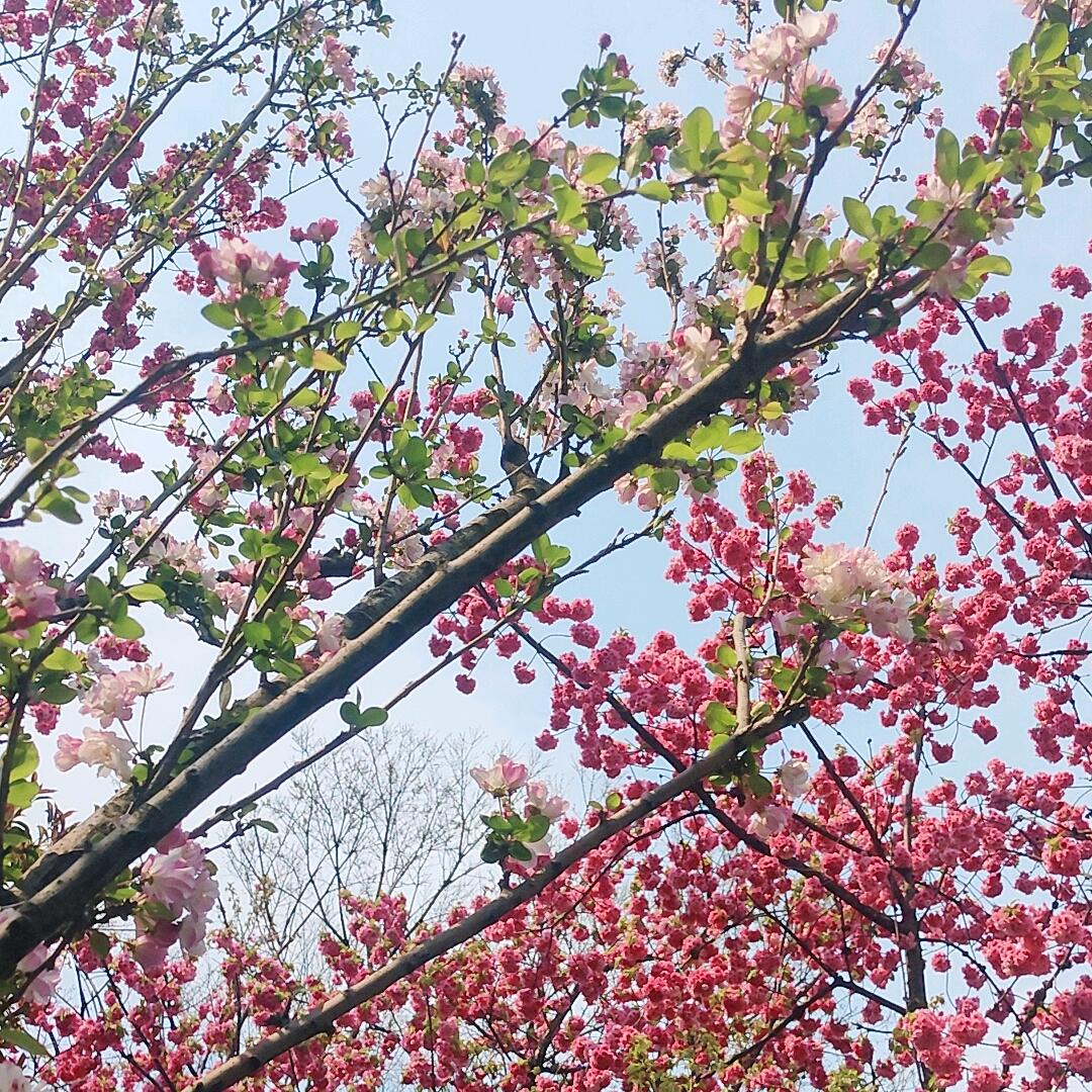 简爱🌻🌻