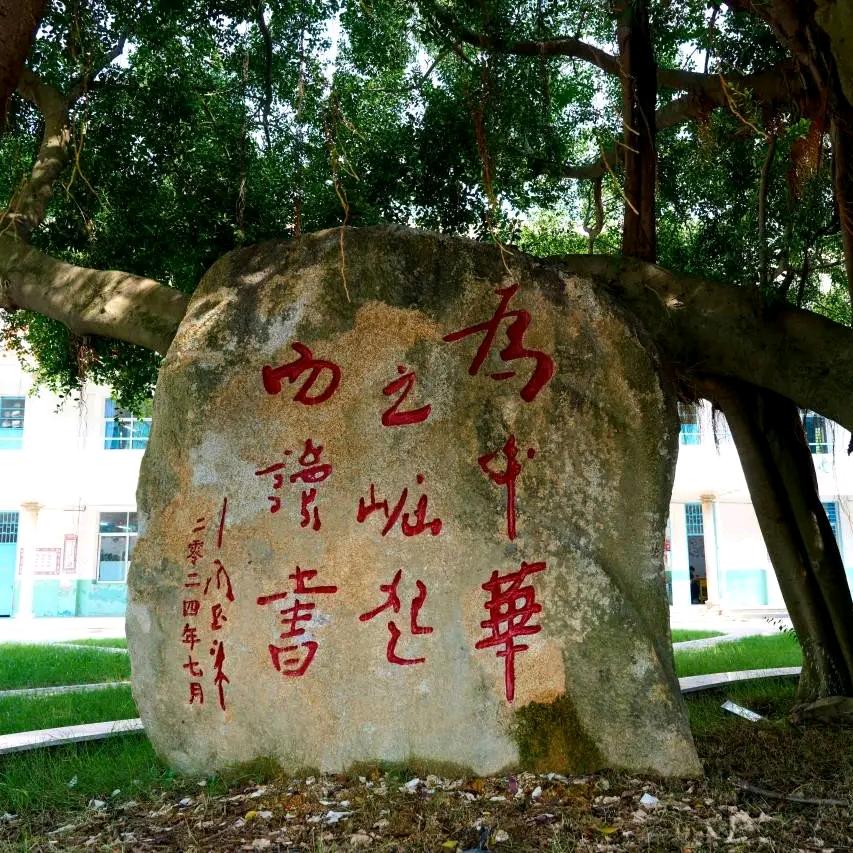 福建泉州、王先生🐰