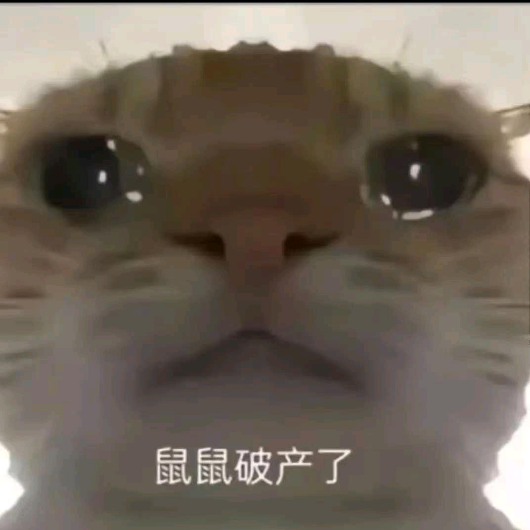 跑刀鼠鼠（三角洲行动）