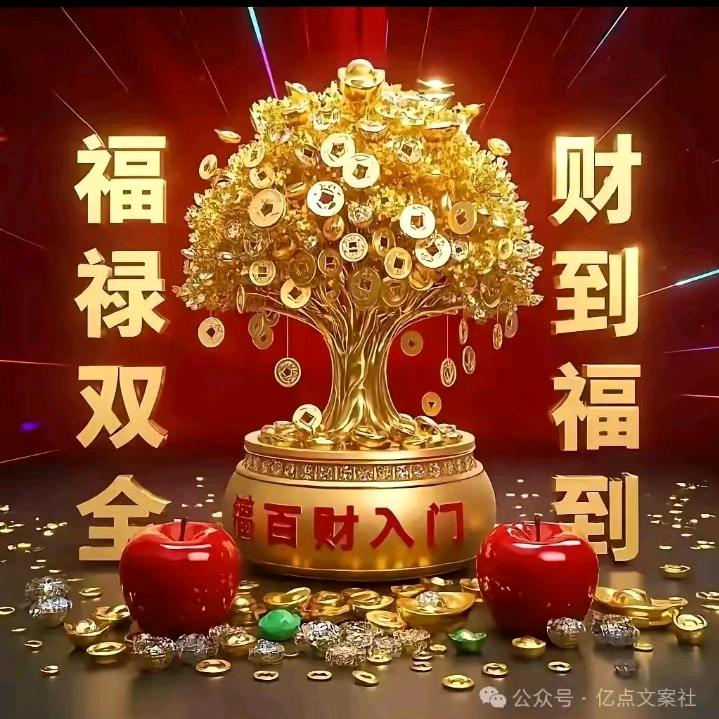 阿根（徐洪）