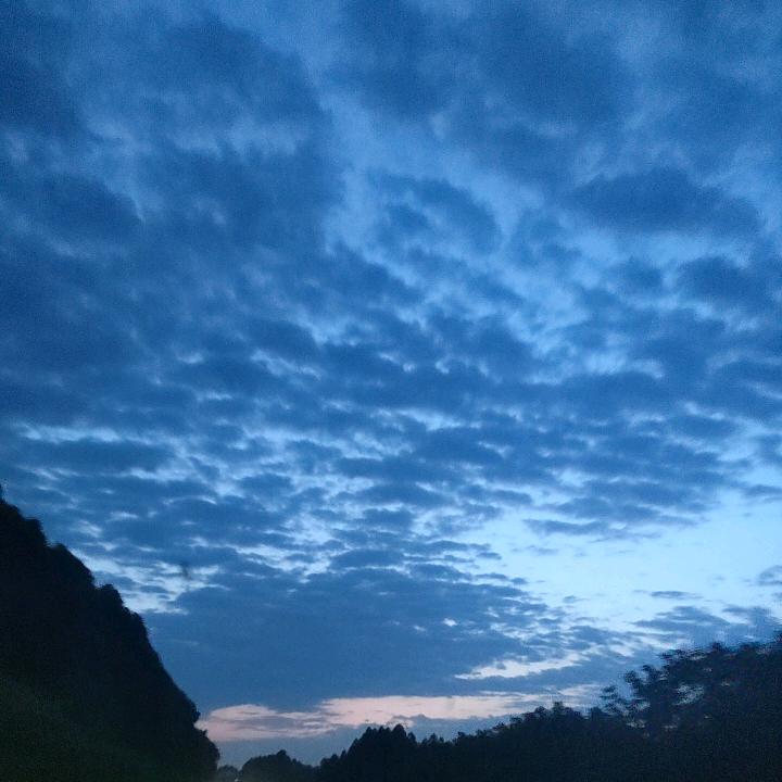 Unique↗果果