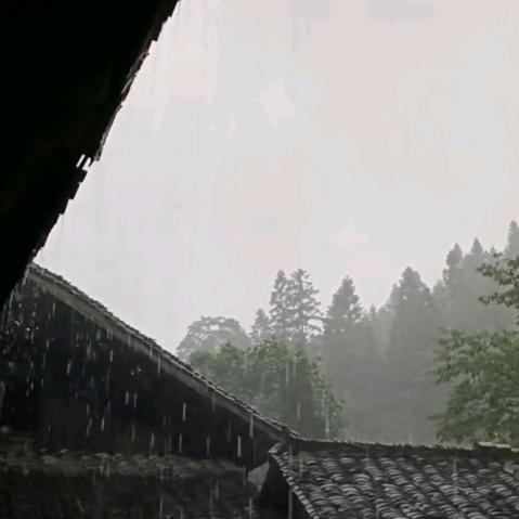 青岛暴学教育信息咨询