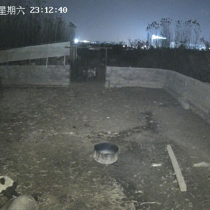 牧羊小哥