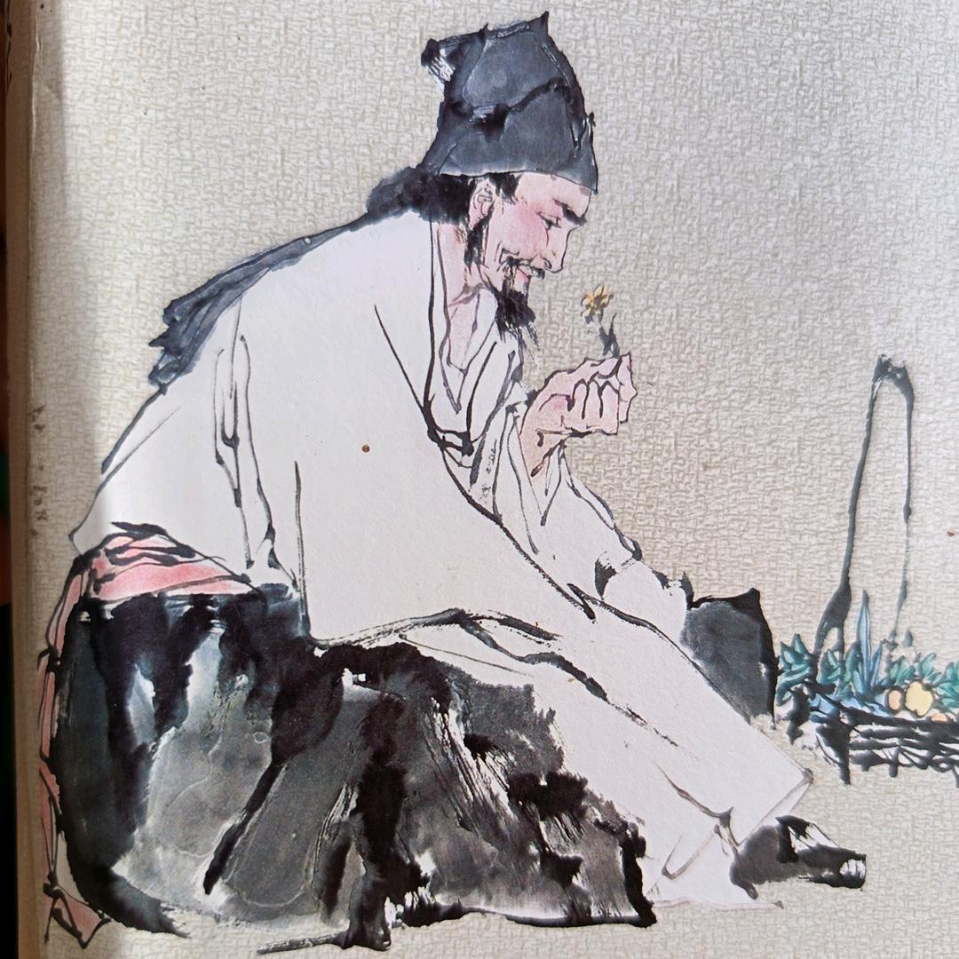 农家陈皮(小慧)