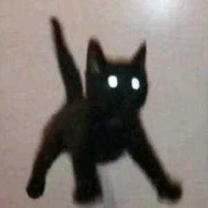 (✧∇✧)