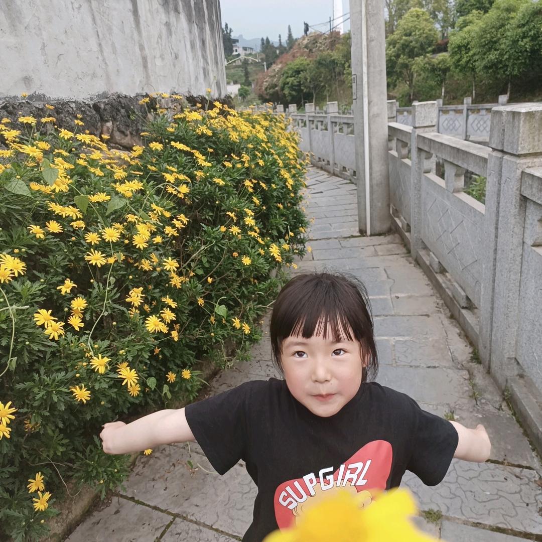 叶子花落