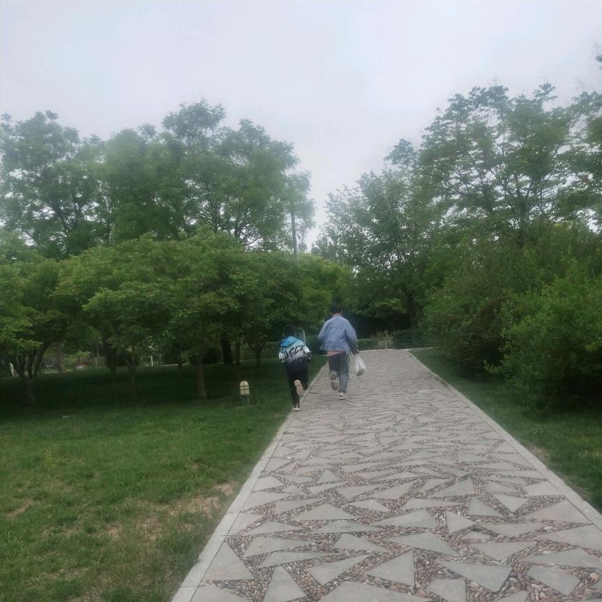初见