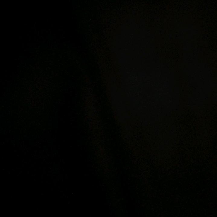 聪少